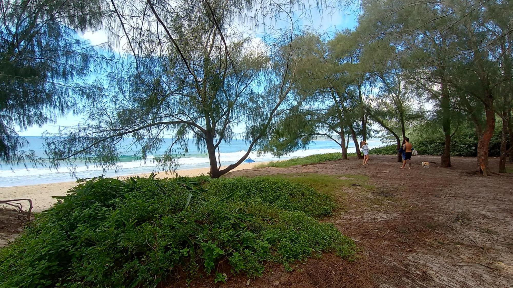 Pousada Zaua Guest House Florianópolis المظهر الخارجي الصورة