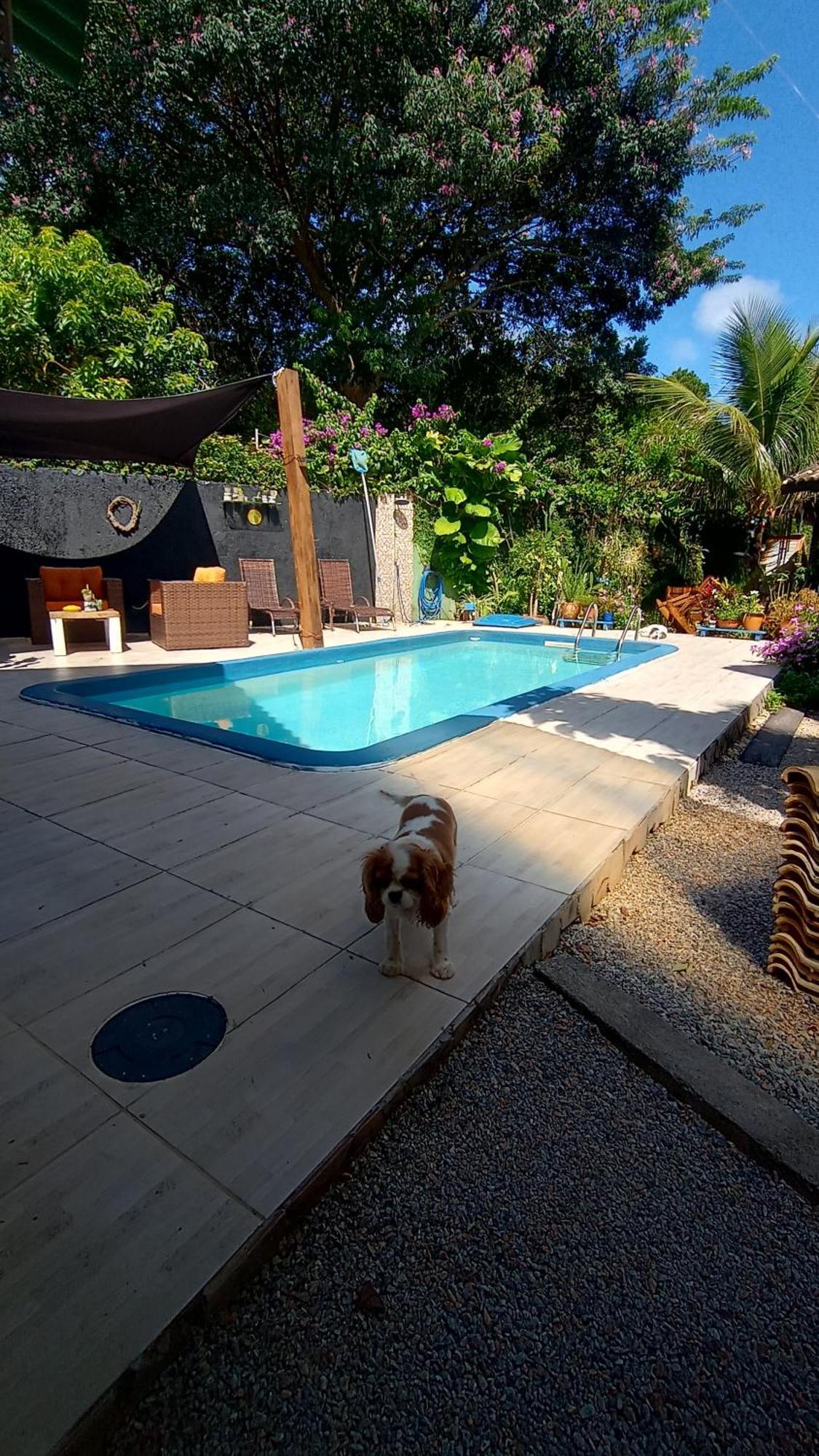 Pousada Zaua Guest House Florianópolis المظهر الخارجي الصورة